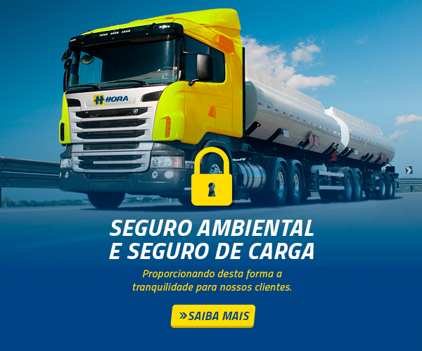 Seguro Ambiental e Carga